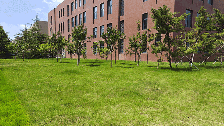 MSA Pack eyewear packaging factory in Qingdao China - Professional packaging manufacturer